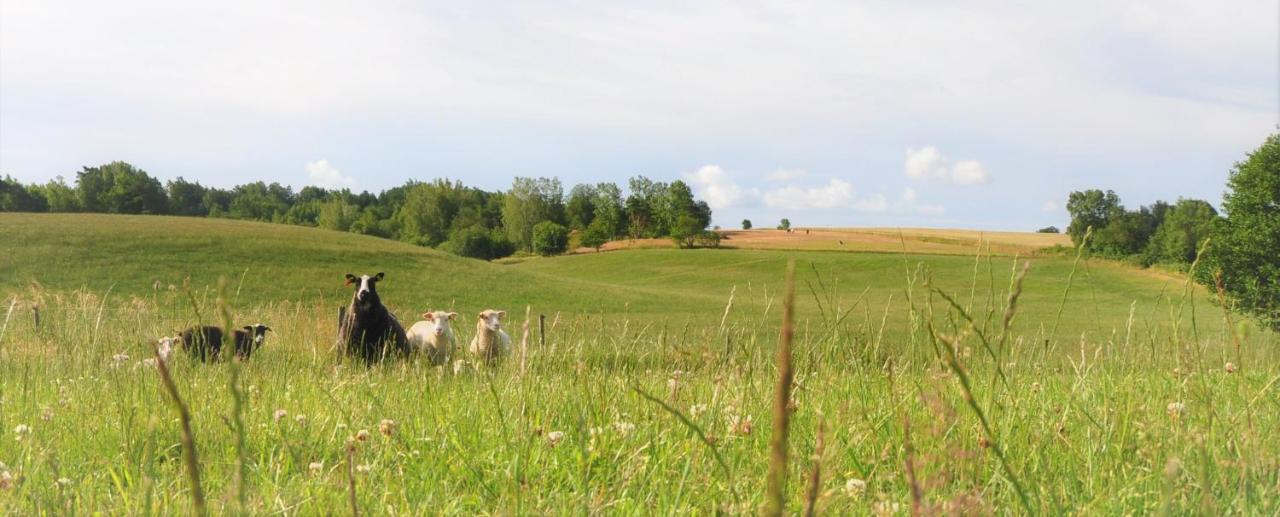 Sandfallet Glamping Laholm Bagian luar foto