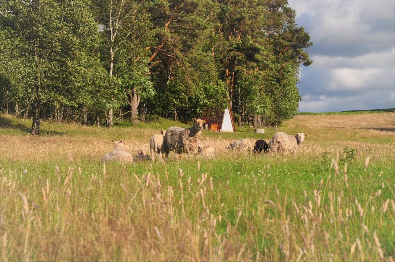 Sandfallet Glamping Laholm Bagian luar foto