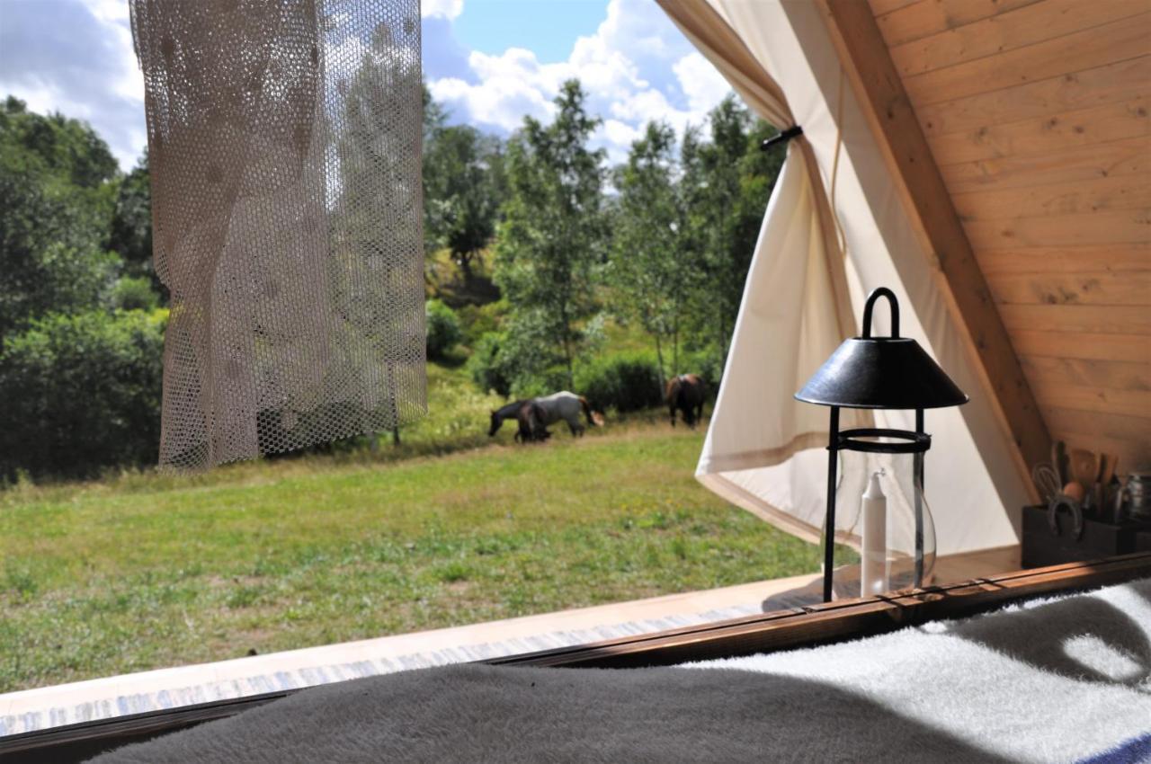 Sandfallet Glamping Laholm Bagian luar foto